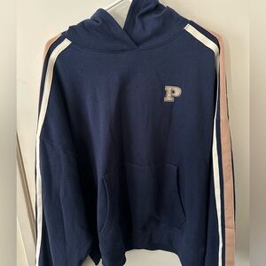 PINK Ivy Fleece campus hoodie